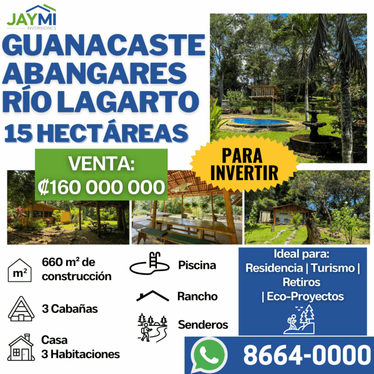 00 ABANGARES Arte (2)