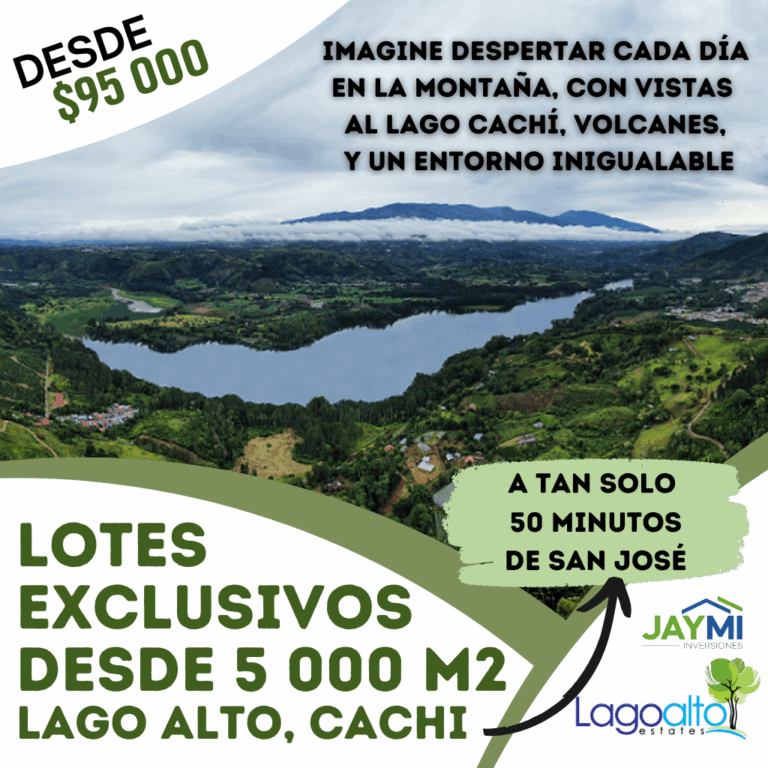 00 - Lotes LAGO ALTO (1024 x 1024 px)